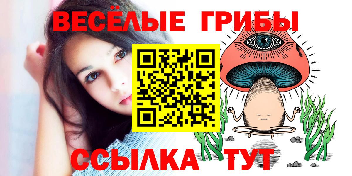 Псилоцибиновые грибы MAGIC MUSHROOMS  Вход с VPN  Псилоцибиновые грибы Psilocybe  Кострома 