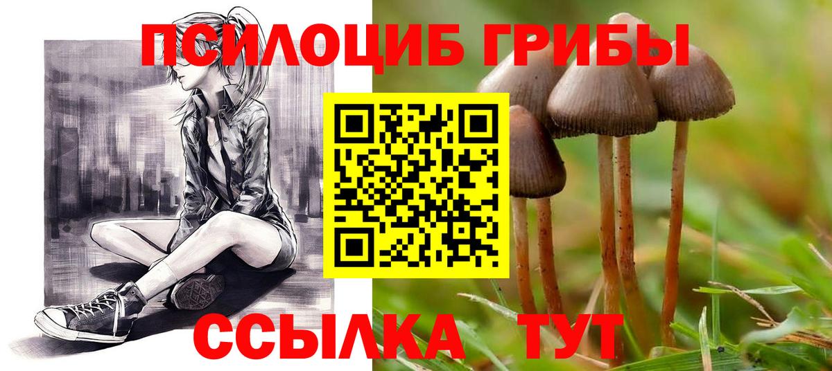 Псилоцибиновые грибы GOLDEN TEACHER Кострома